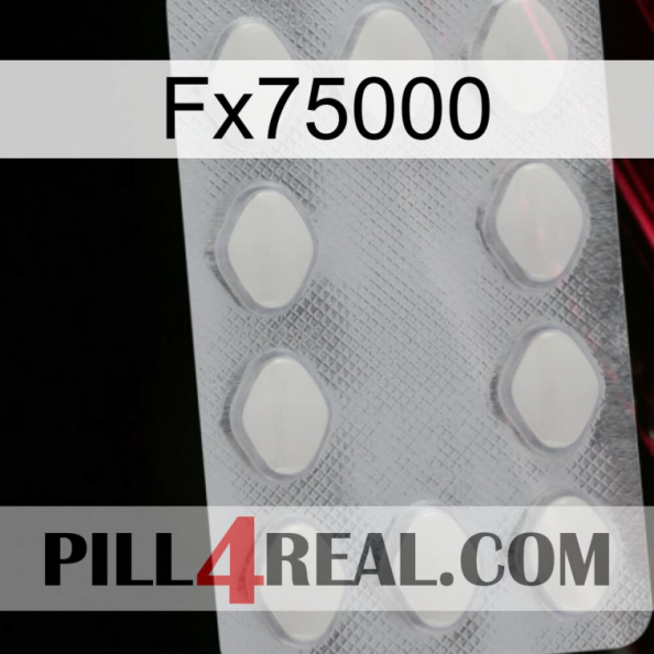 Fx75000 16
